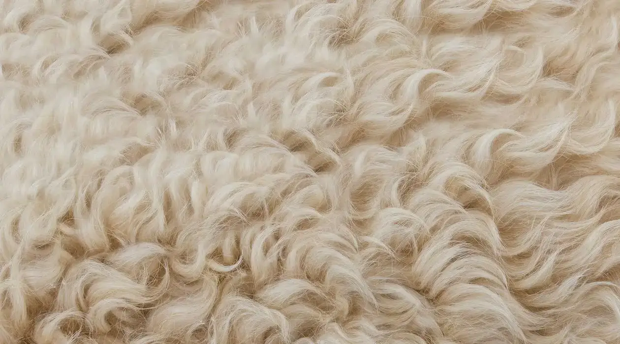 soi-len-wool